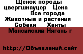 Щенок породы  цвергшнауцер › Цена ­ 30 000 - Все города Животные и растения » Собаки   . Ханты-Мансийский,Нягань г.